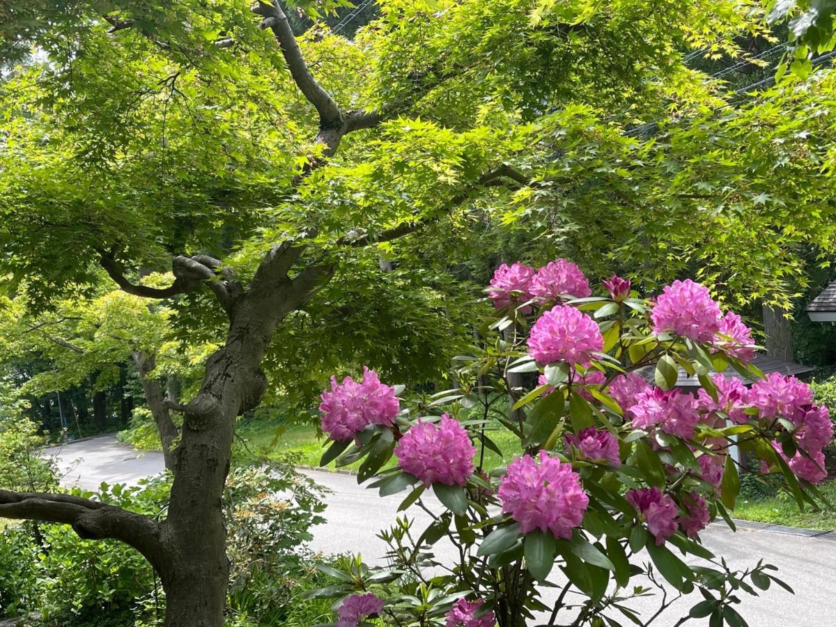 Hotel Sejour Mint In Hakuba Bagian luar foto