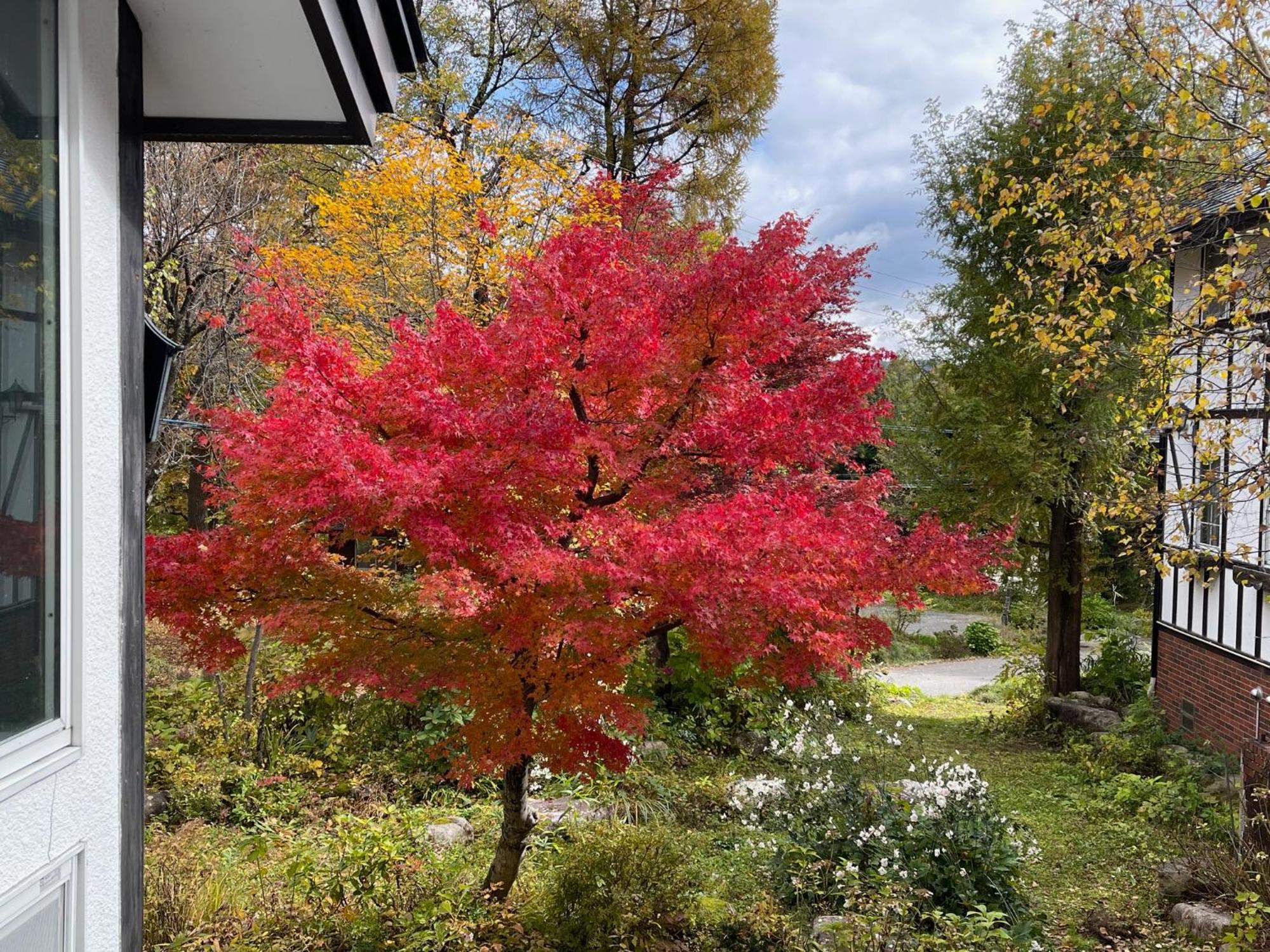 Hotel Sejour Mint In Hakuba Bagian luar foto